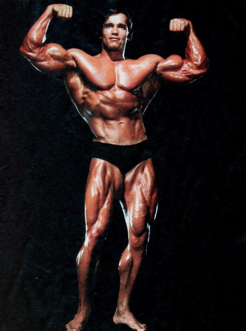 Arnold Bodybuilding Wallpapers - Top Free Arnold Bodybuilding Backgrounds -  WallpaperAccess