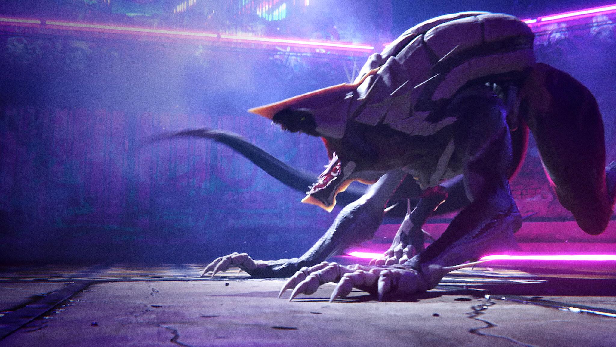 Jibaro Wallpapers - Top Free Jibaro Backgrounds - WallpaperAccess