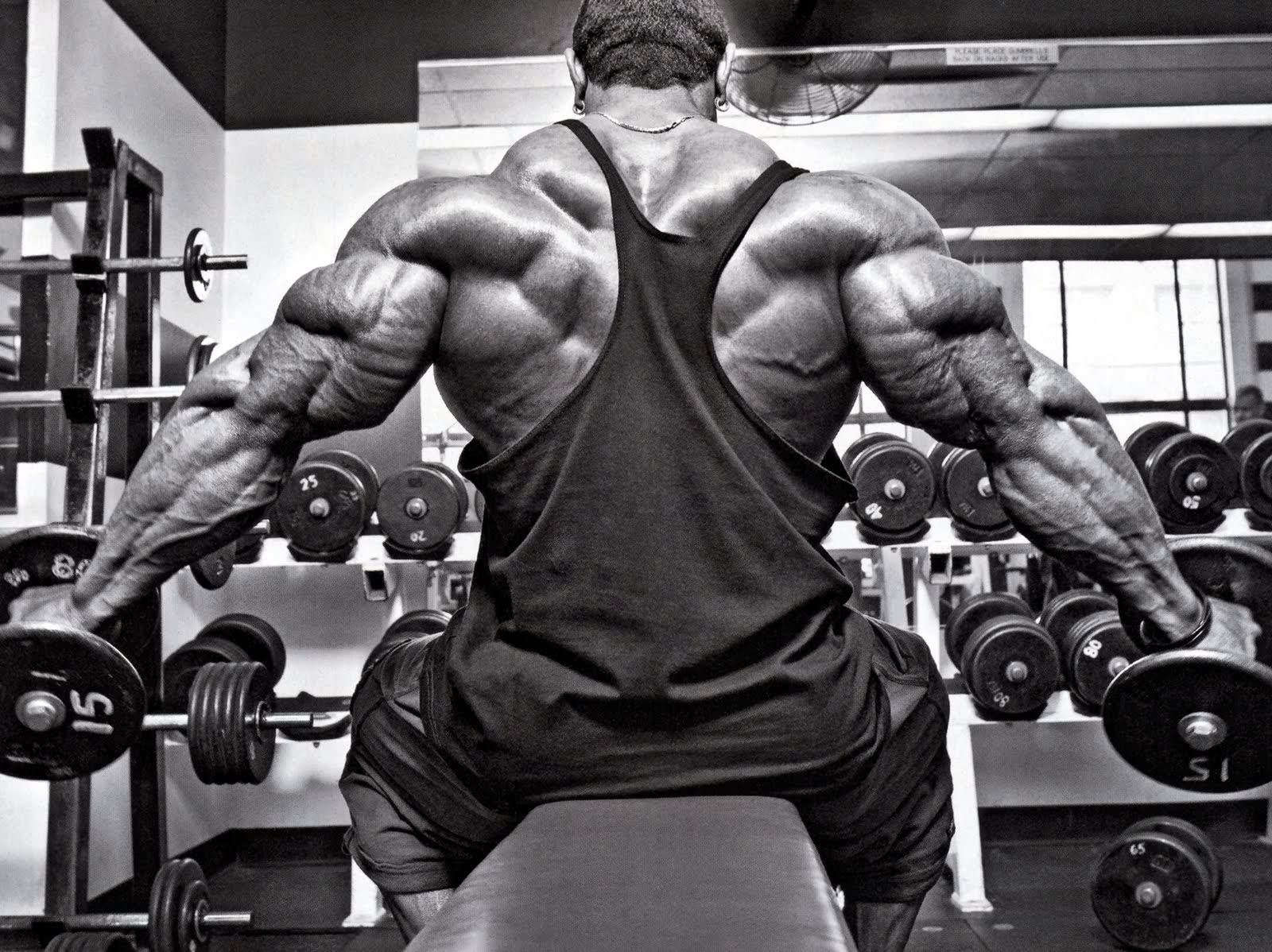 1600x1198 Free Download Nice Body Builders Image