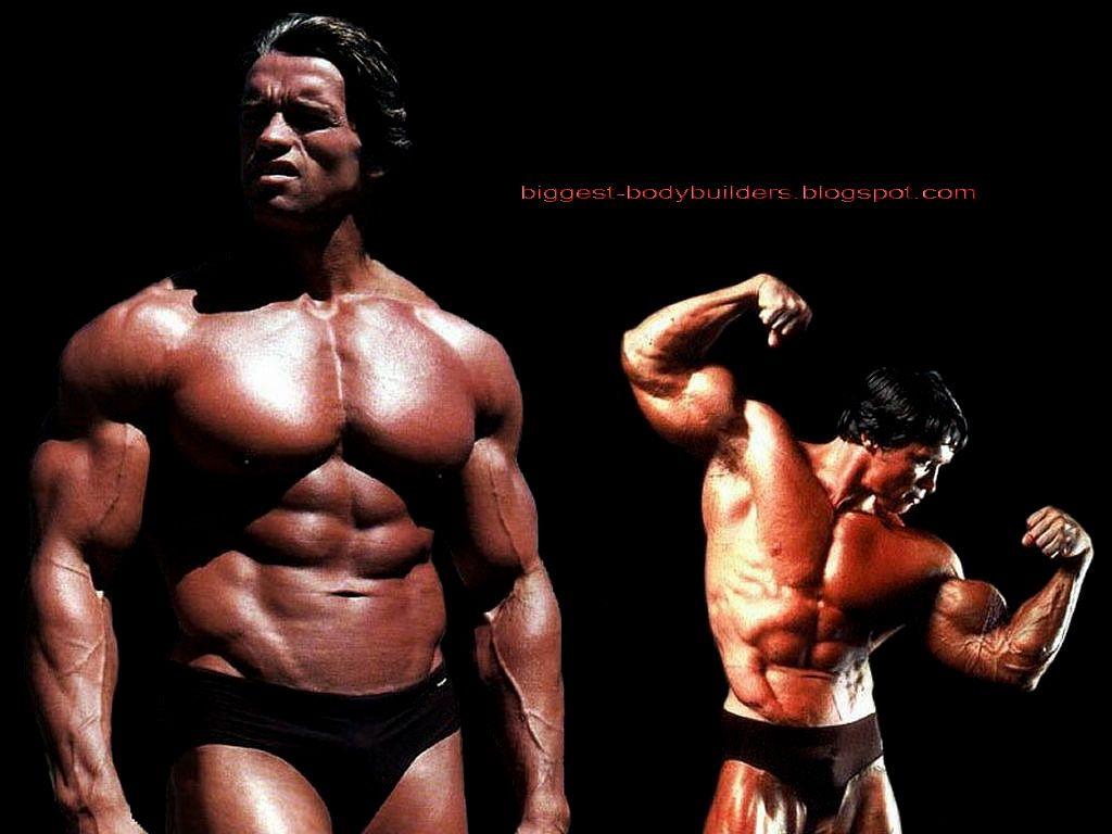 1024x768 biggest body builders: Arnold Schwarzenegger wallpaper hd
