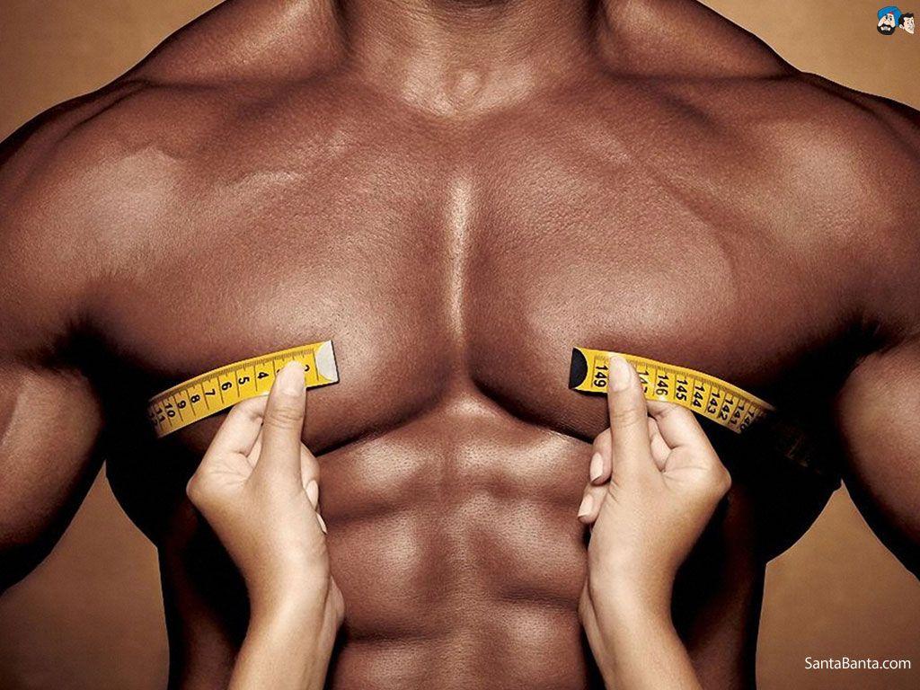 1024x768 Wallpaper Bodybuilding