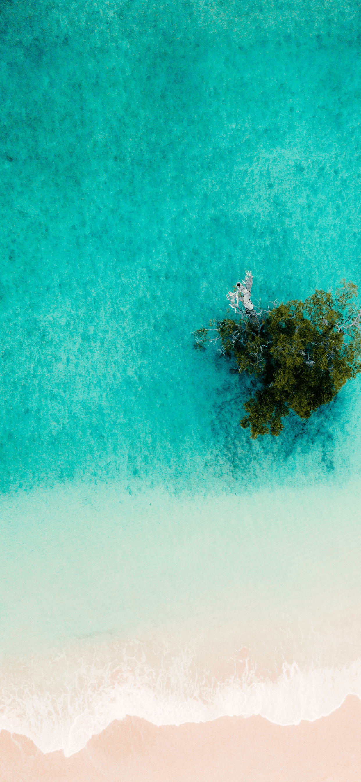 1242x2688 Beach Wallpaper for iPhone Pro Max, X, 6