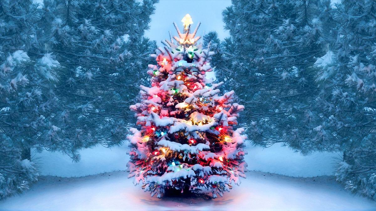 1200x675 Merry Christmas 2020: Wishes, Quotes, HD Image, Facebook Greetings, WhatsApp statuses, Messages for friends