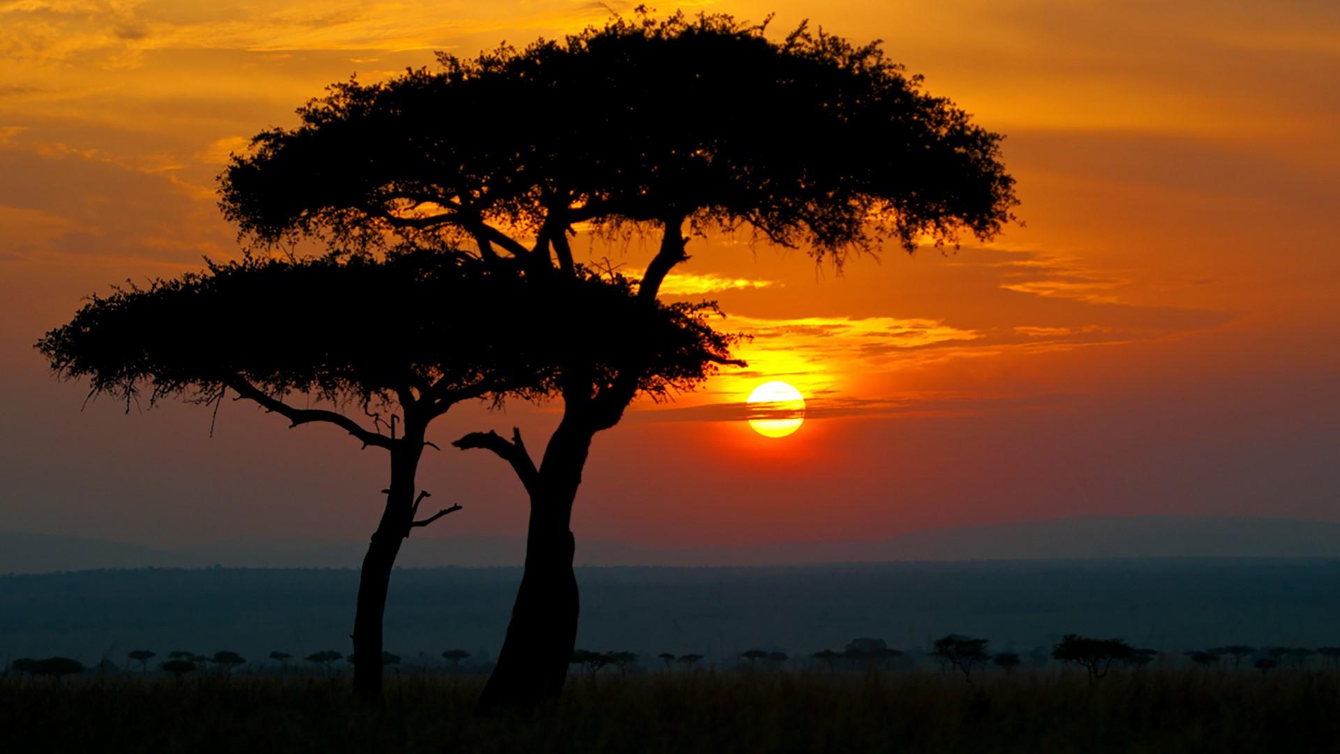 Maasai Mara Wallpapers - Top Free Maasai Mara Backgrounds - Wallpaperaccess