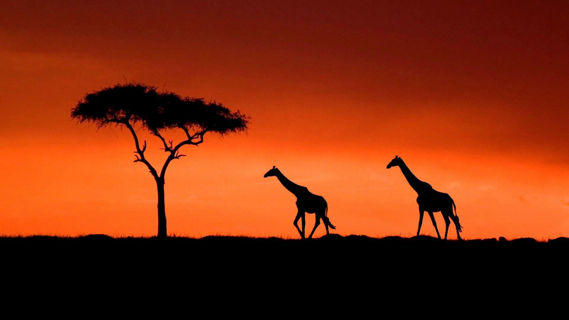 1920x1080 1920x Traditional African Music Compilation