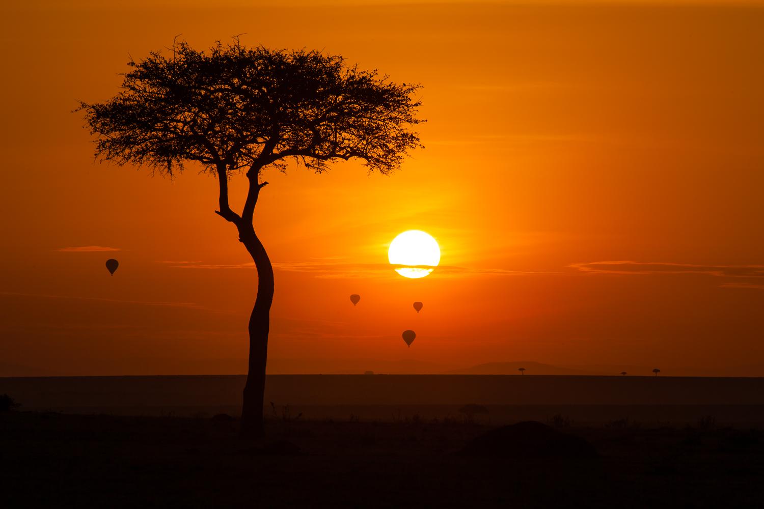 1500x1000 Photos From Maasai Mara National Reserve KENYA By Photographer Svein Magne Tunli, Tunliweb. Picture, Image, Photographs, Photo Gallery, Photography, Landscapes, Wildlife. Foto, Bilder Fra Masai Mara Natureservat