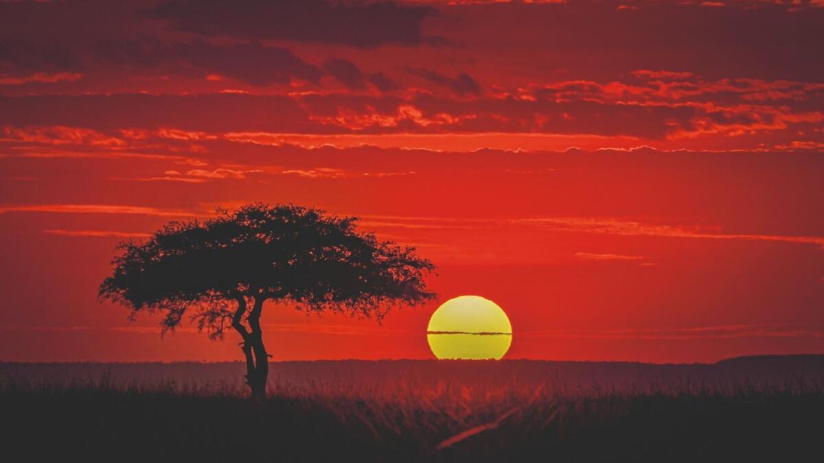 1200x675 Maasai Mara: Inside Kenya's most famous national reserves