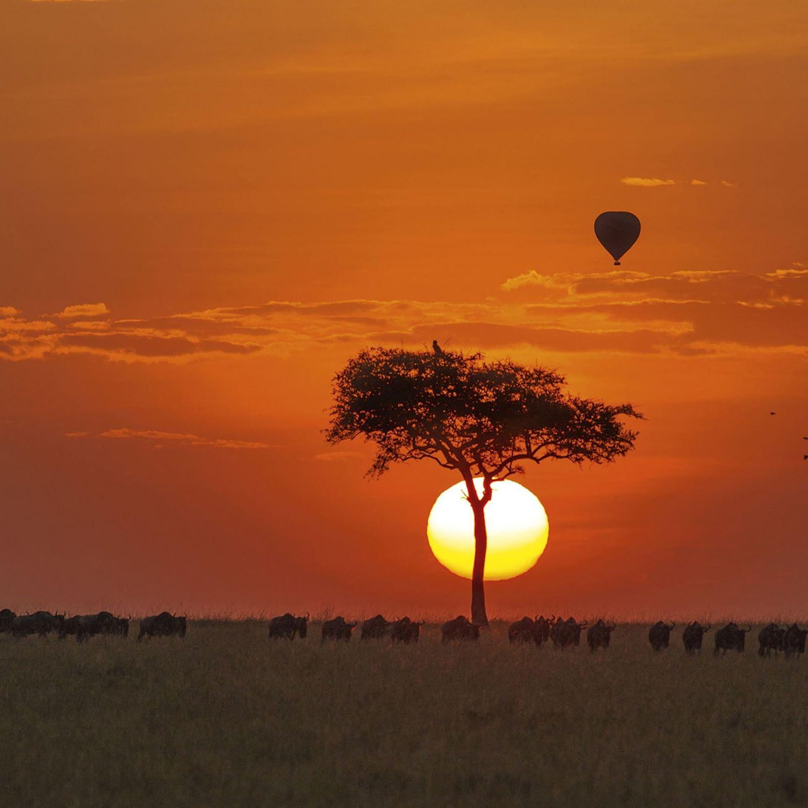 1600x1600 Ballooning over the Masai Mara