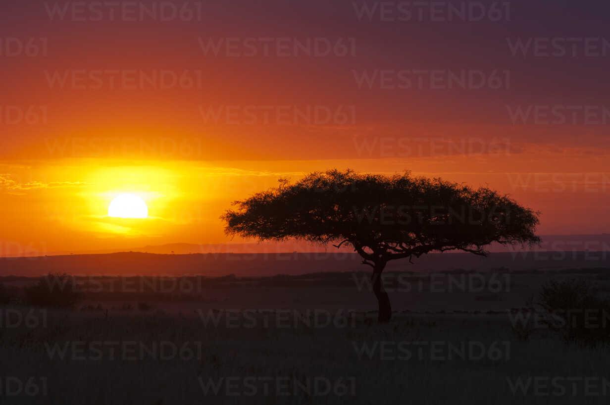 1232x818 Africa, Kenya, View of Maasai Mara National Reserve at sunset