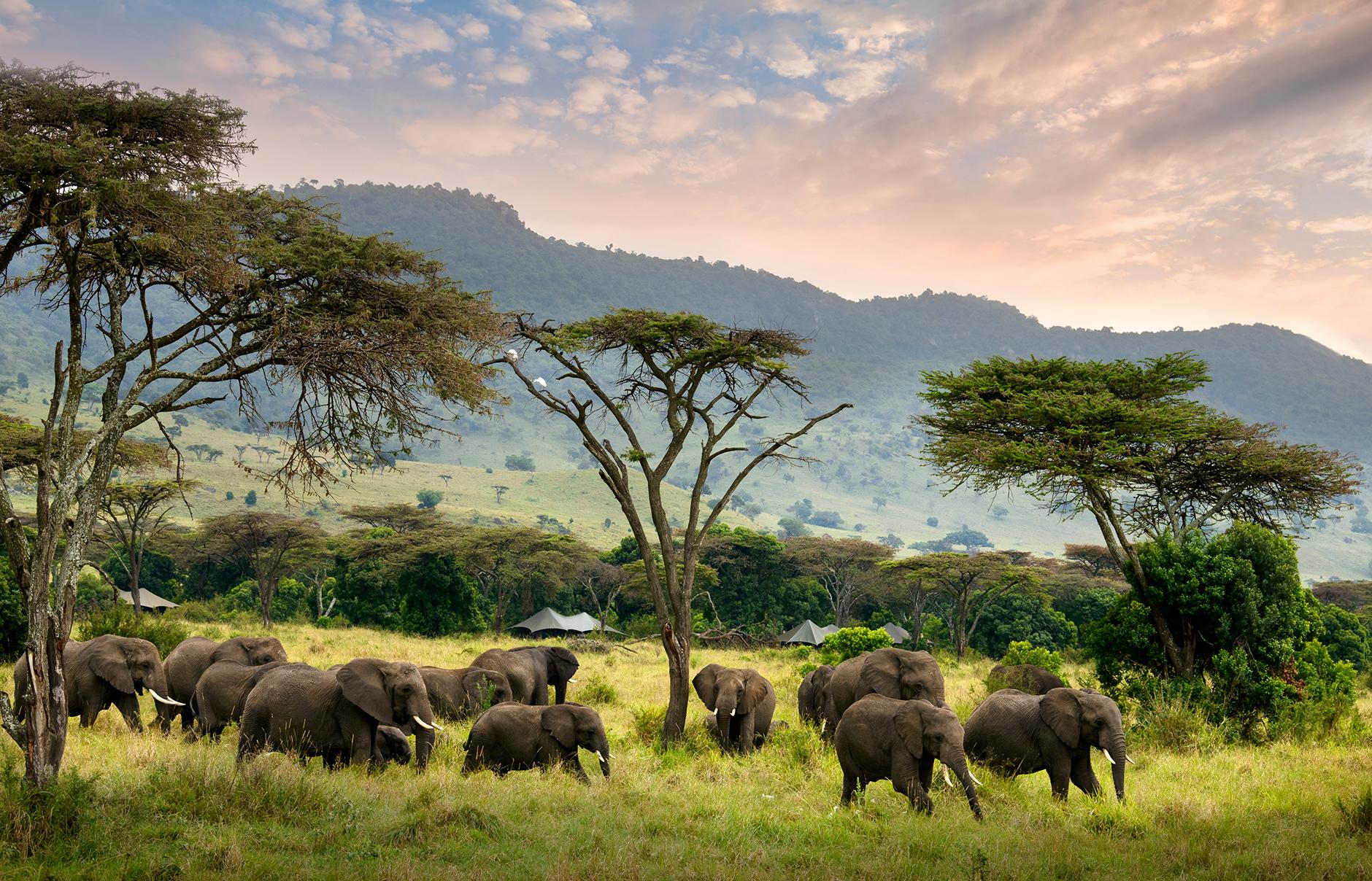 1880x1208 Angama Mara, Masai Mara, Kenya • Hotel Review