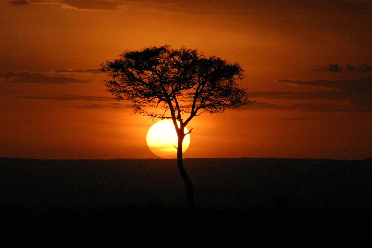 1280x853 Download free photo of Masai mara, sunset, kenya, africa, acacia
