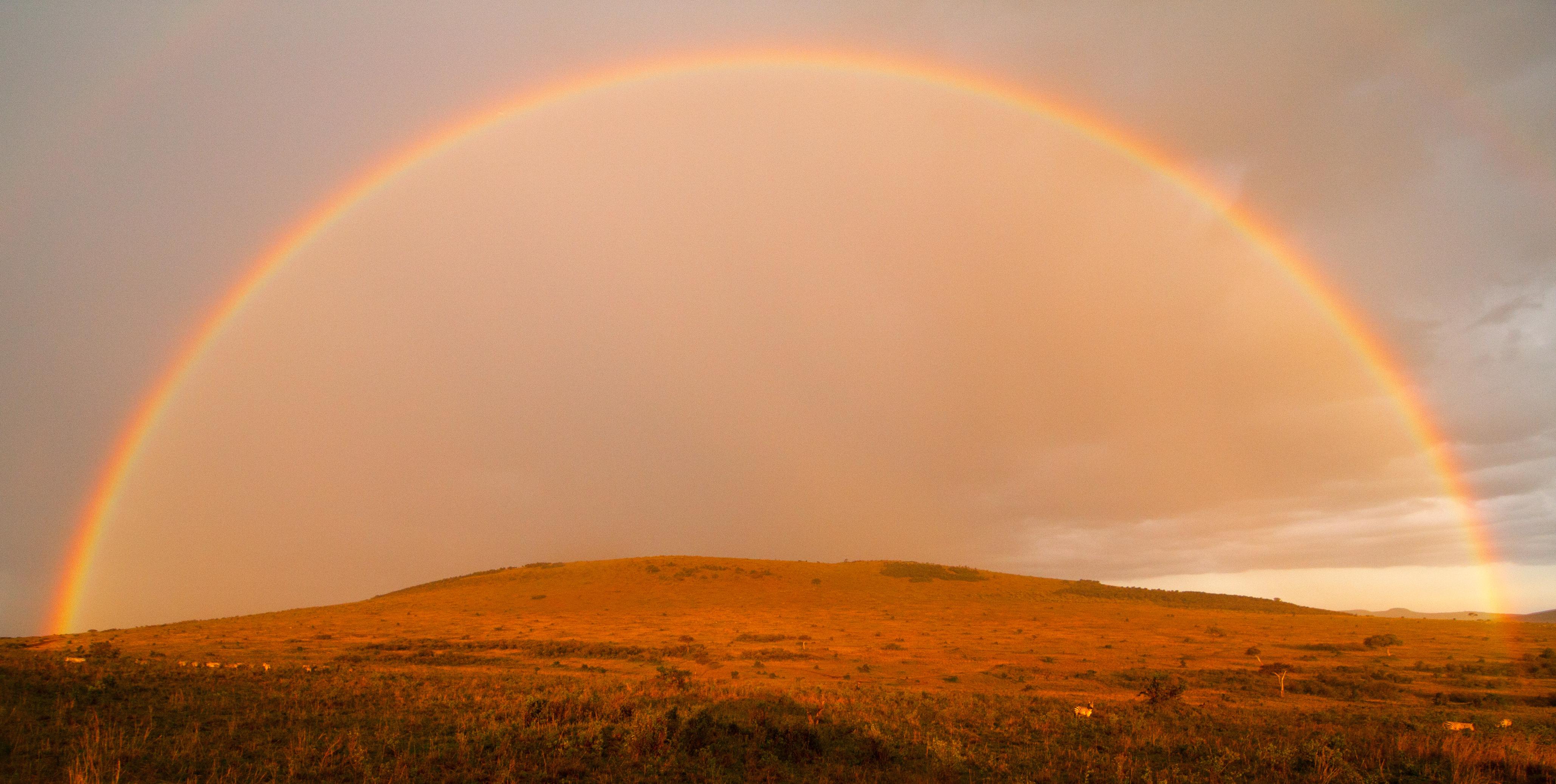 4116x2075 Maasai Mara National Reserve