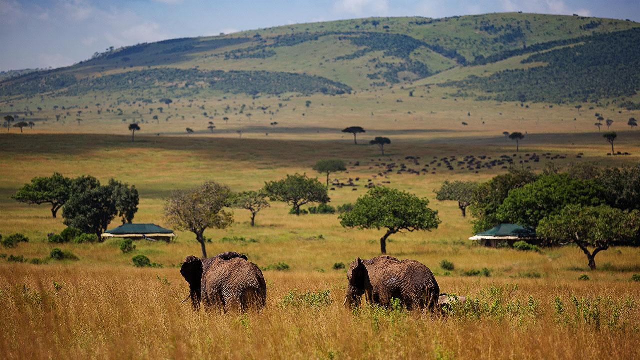 1280x720 Elewana Collection River Masai Mara a Glance