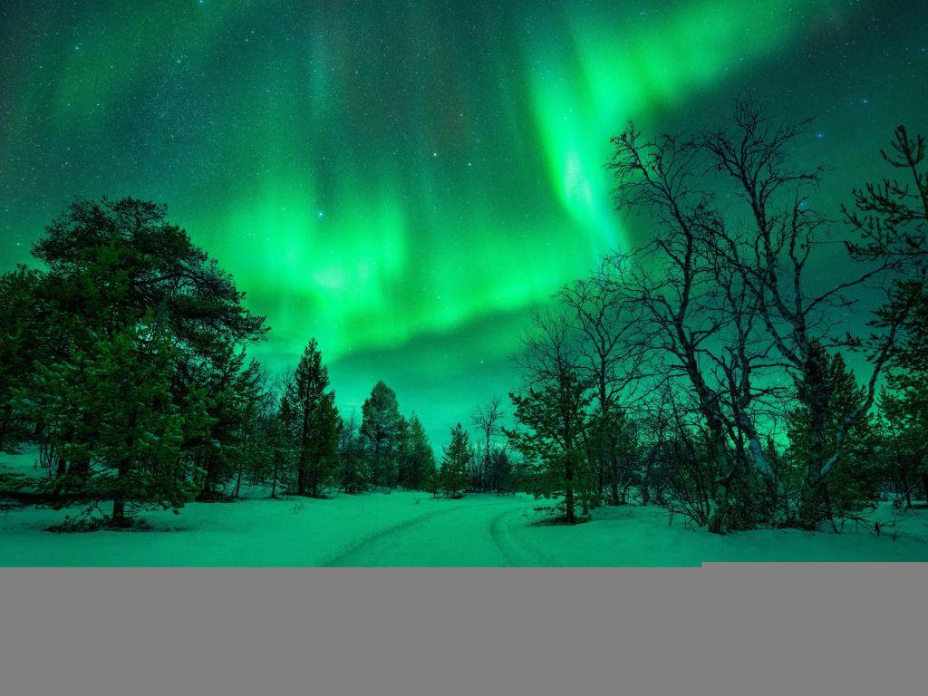 1024x768 of Aurora 4K wallpaper for your desktop or mobile screen