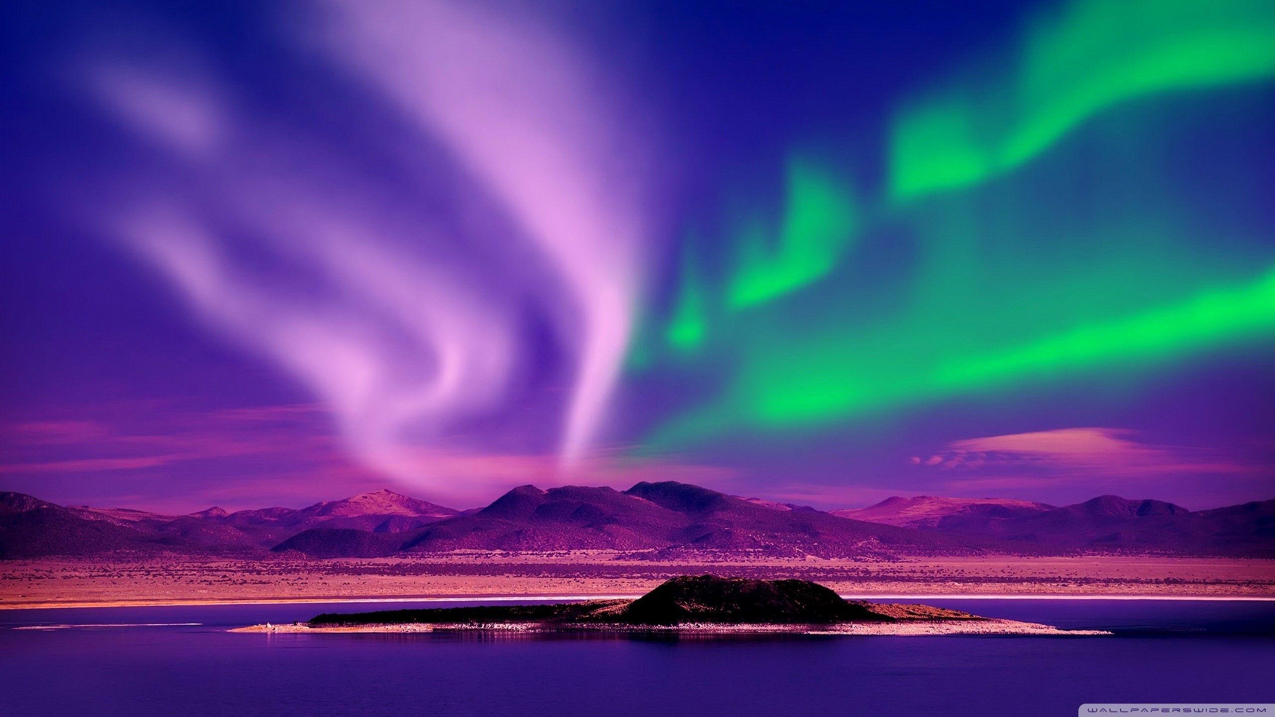2560x1440 Aurora Borealis Wallpaper