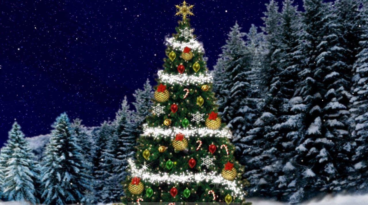 1280x713 Xmas Tree HD Wallpaper