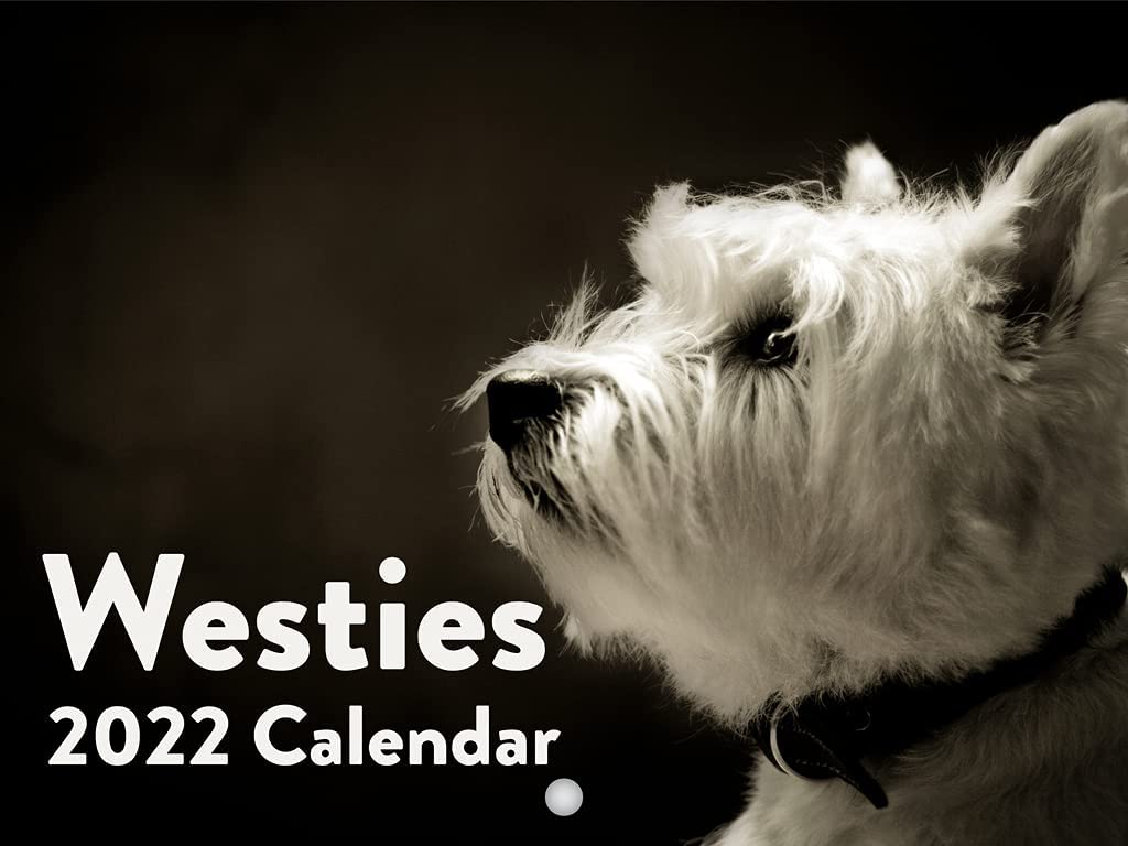 1024x768 Amazon.com : Westies 2022 Wall Calendar West Highland White Terriers Calendar Cute Puppies Dog Breed Large 18 Month Calendar Monthly Full Color Thick Paper Pages Folded Ready To Hang Planner Agenda 18x12