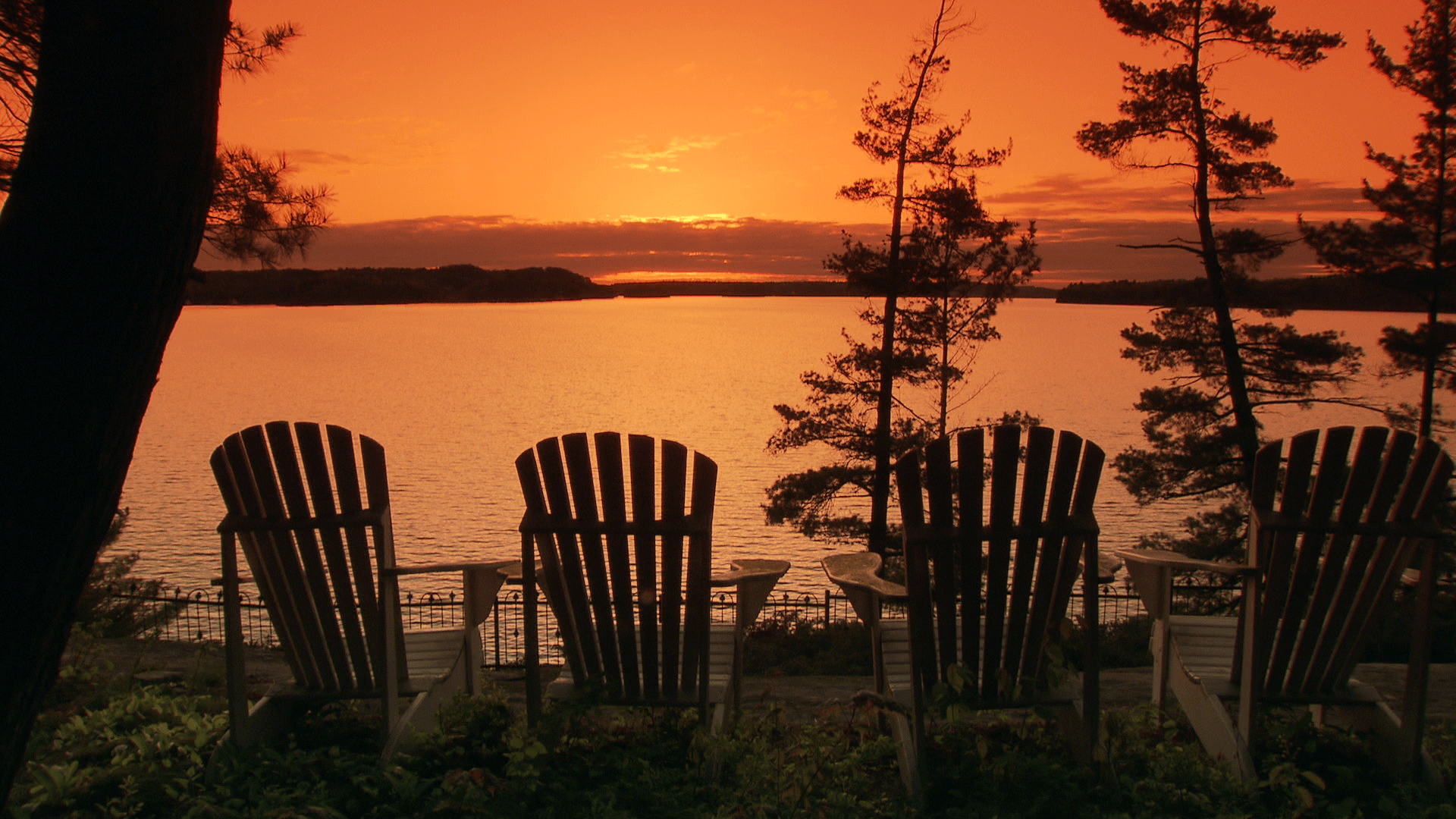 1920x1080 We've Found the Bevvy of Summer '18