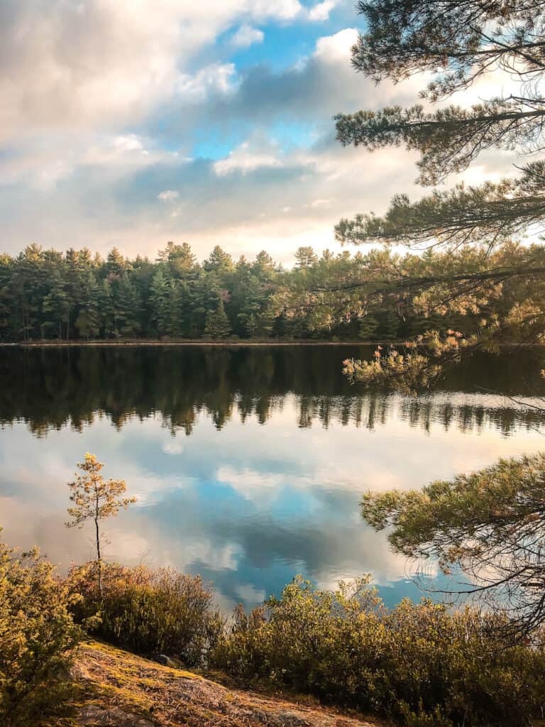 768x1024 Epic Things to Do in Muskoka in 2022: The Ultimate Cottage Country Guide. Nina Out and About