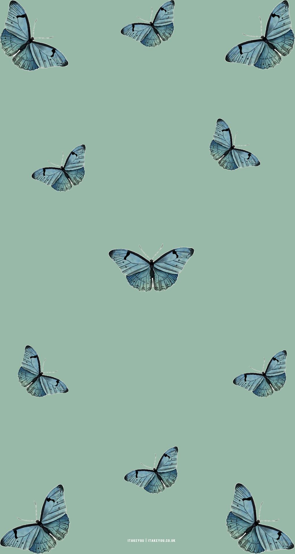 1020x1915 Sage Green Minimalist Wallpaper for Phone : Butterfly Butterfly I Take You. Wedding Readings. Wedding Ideas