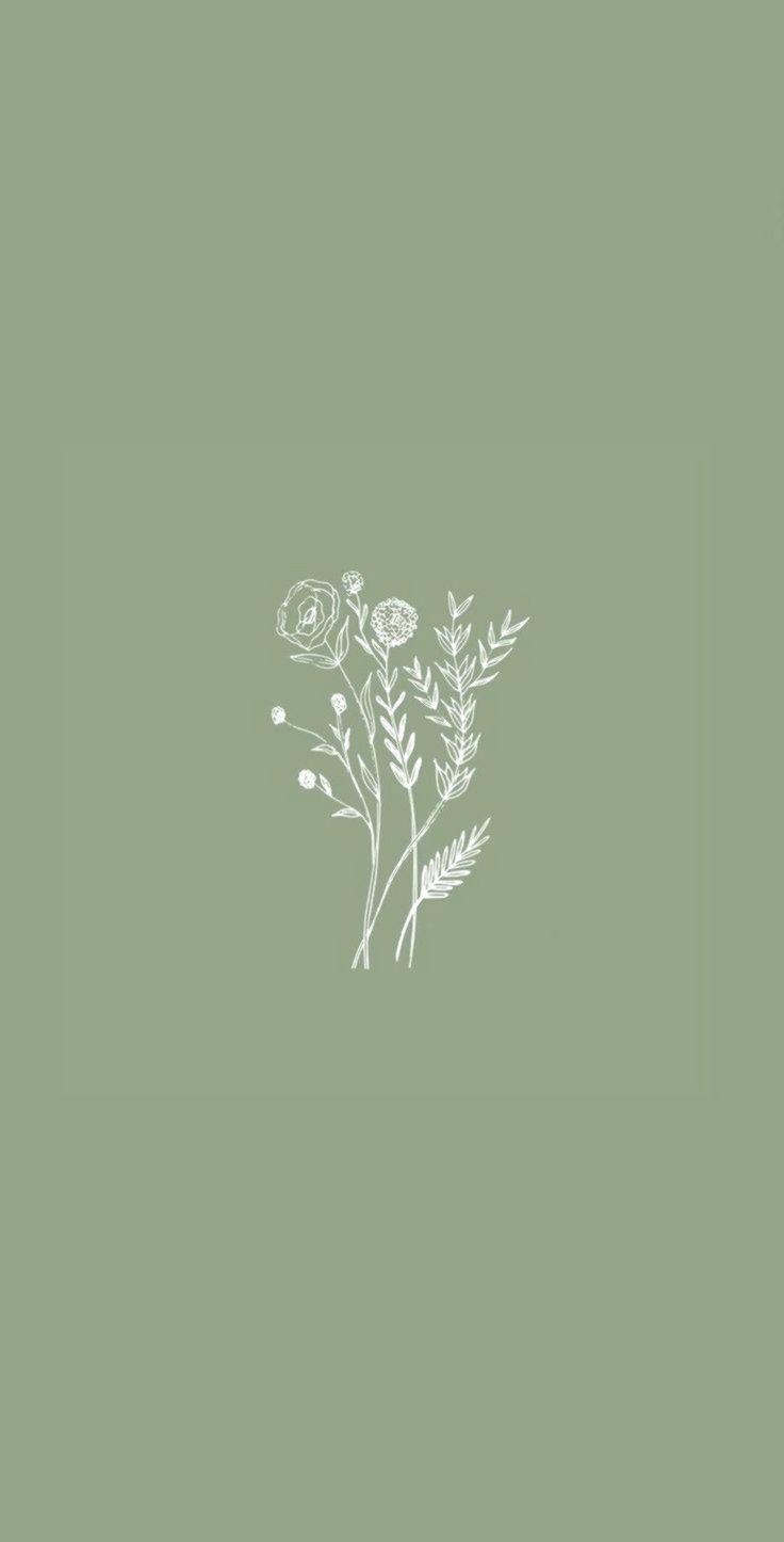 736x1446 Aesthetic Sage Green Wallpaper