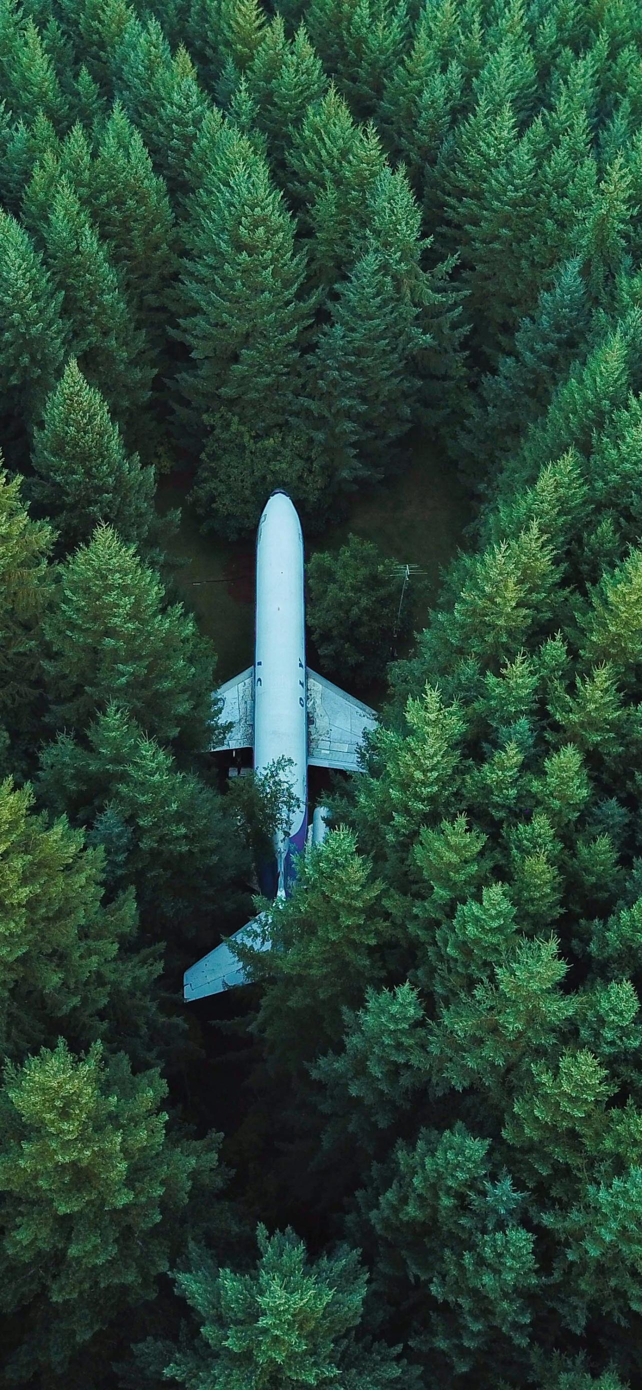 1284x2778 Airplane Wallpaper 4K, Green Trees, Aerial view, Forest