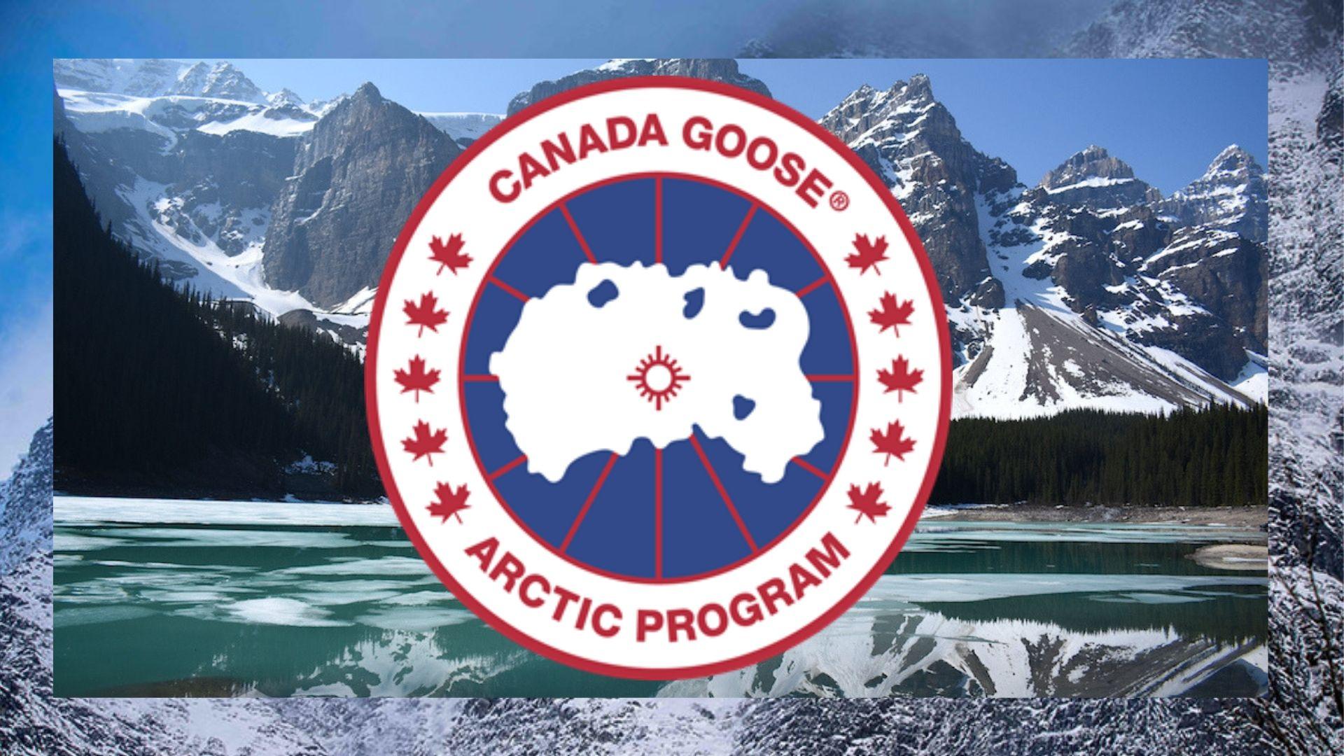 Canada Goose Wallpapers - Top Free Canada Goose Backgrounds