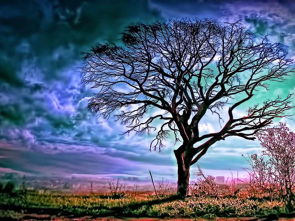 1024x768 Beautiful Nature