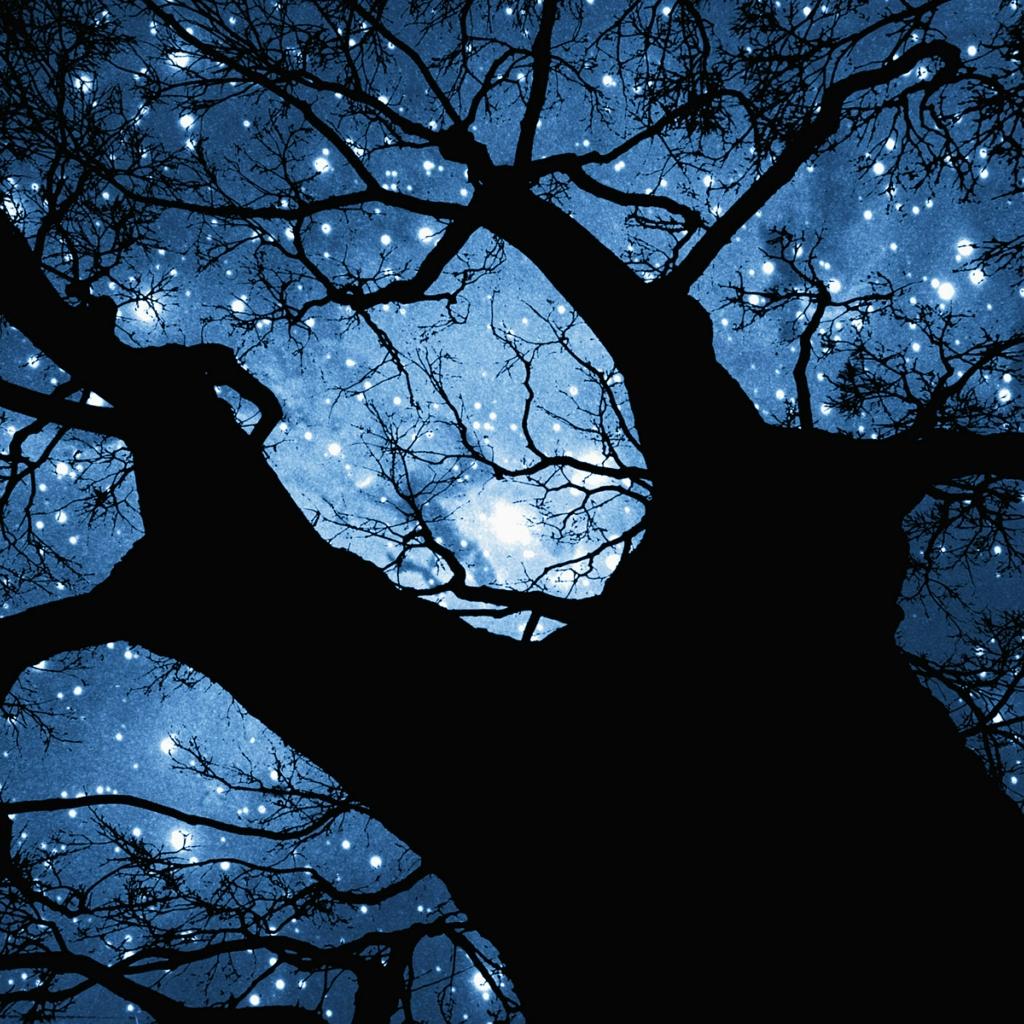 1024x1024 8tracks radio. Nyctophile (15 songs). free and music playlist