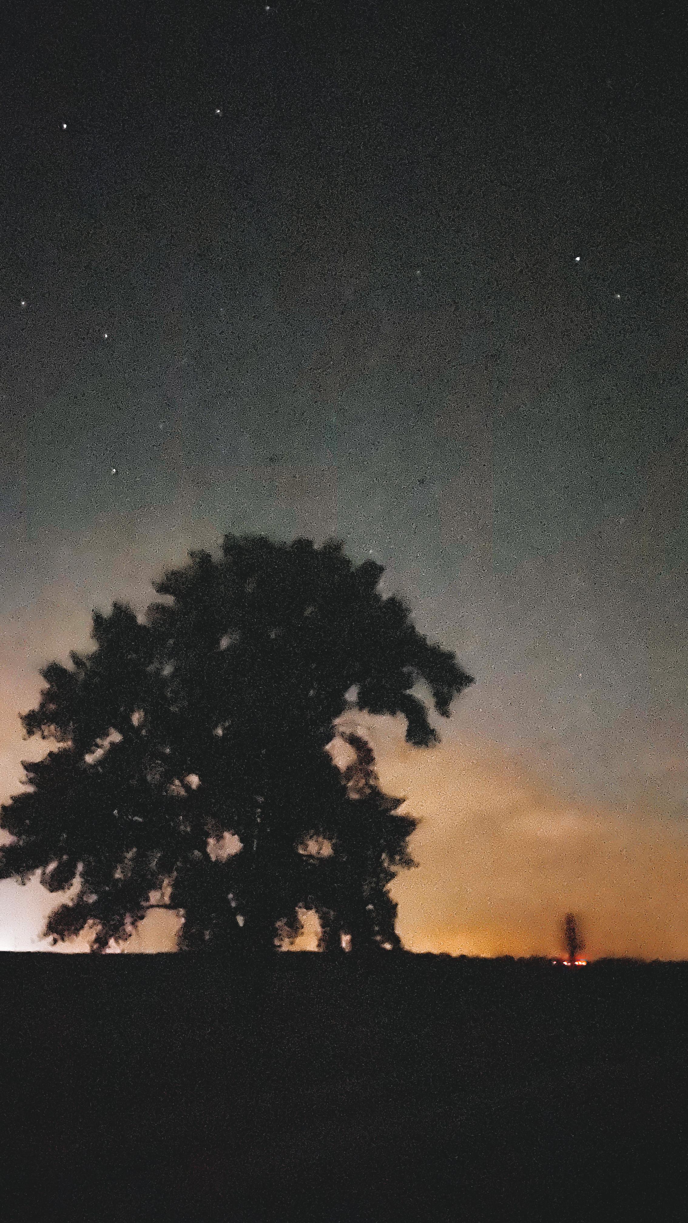 2268x4032 Lake House Trip: Photo Diary in the City