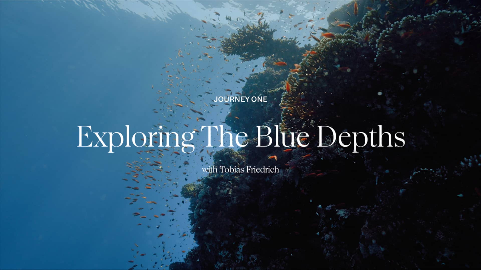 1920x1080 AMAALA Blue Depths on Vimeo