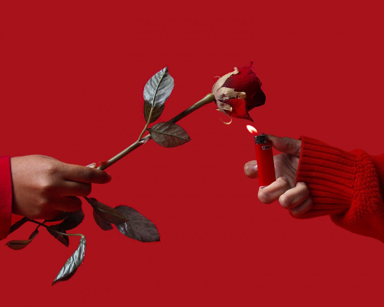 1280x1024 Free download aesthetic red passion photography photo rose Monochromatic [3096x5184] for your Desktop, Mobile & Tablet. Explore Red Roses Aesthetic Wallpaper. Red Roses Aesthetic Wallpaper, Red Aesthetic Wallpaper, Wallpaper Red Roses
