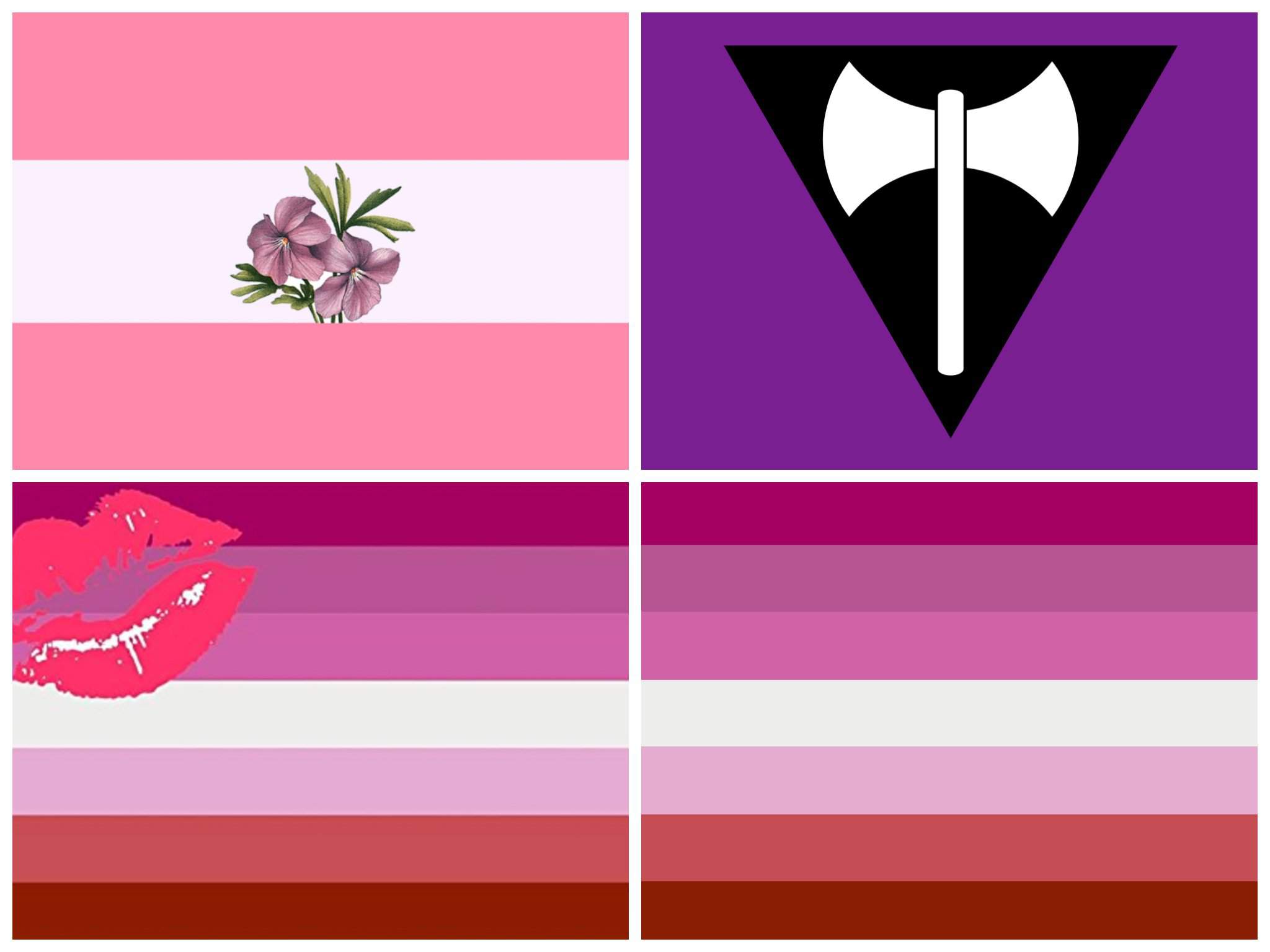 2048x1536 Lesbian 101. LGBT+ Amino