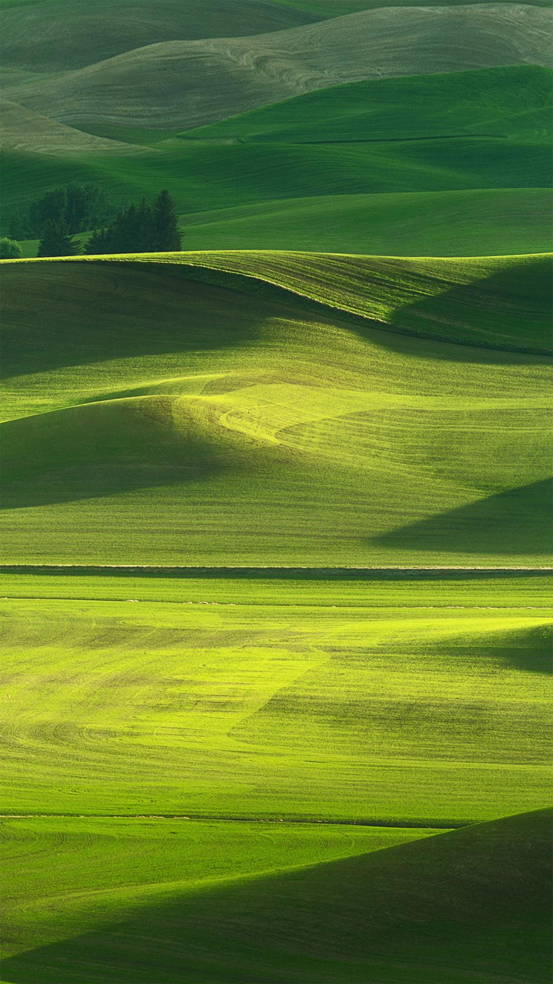 1080x1920 Nature Wallpaper For Oppo
