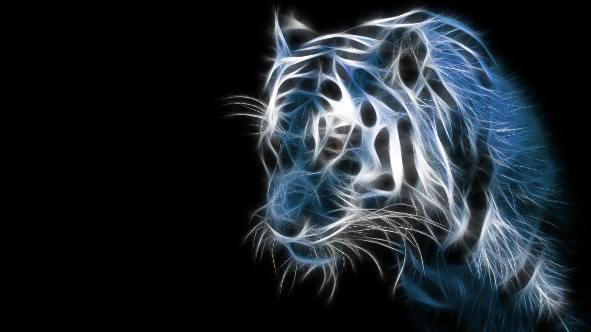 1200x675 Cool Cat. cool. Wallpaper and 3D