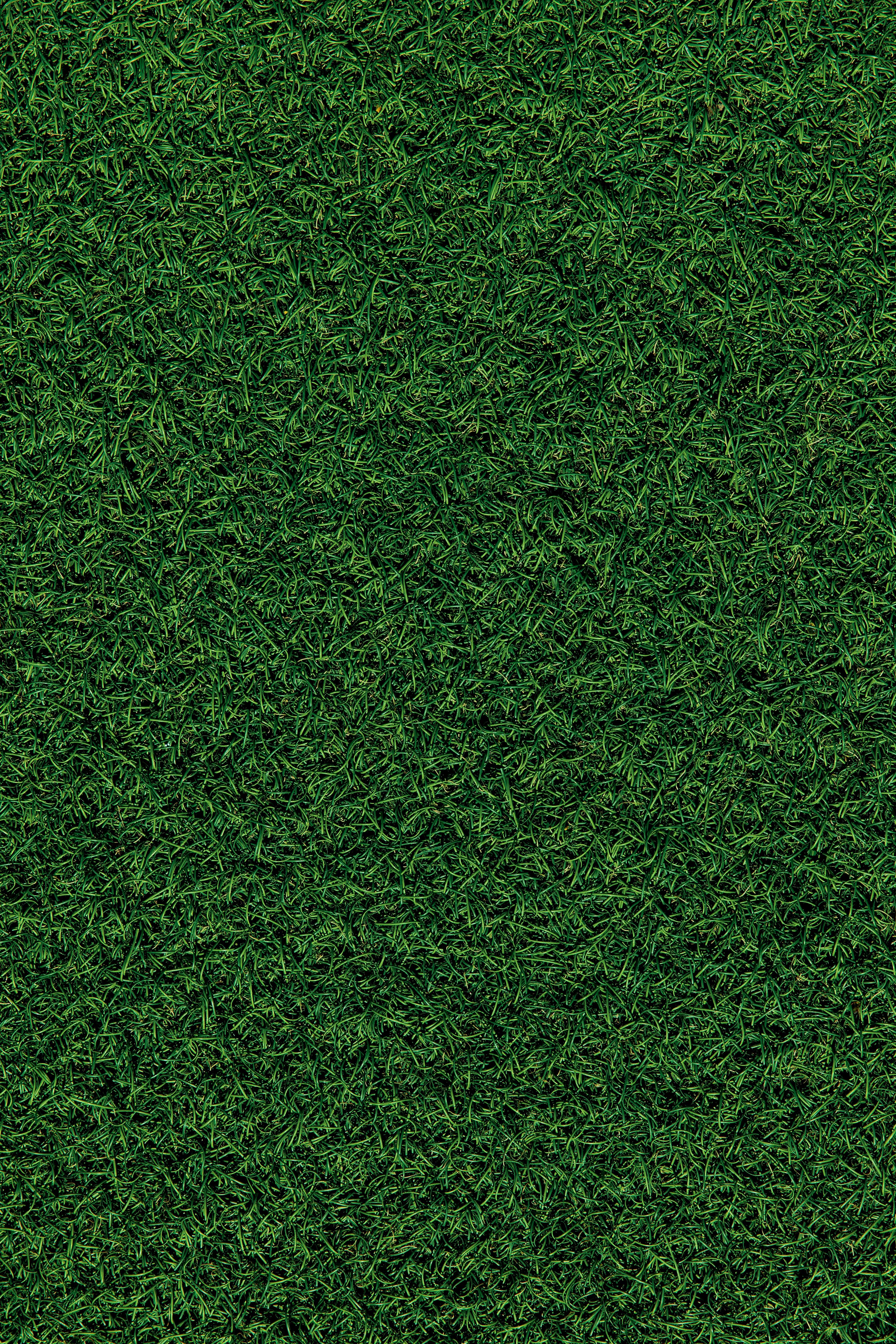 3648x5472 Green wallpaper for your phone, free download Green picture
