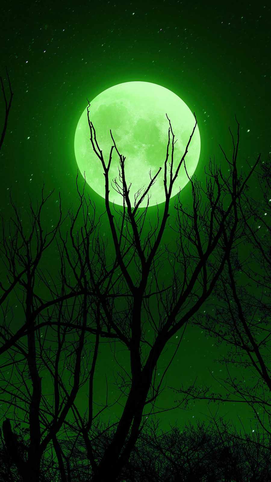 900x1600 Full Moon Green IPhone Wallpaper Wallpaper : iPhone Wallpaper