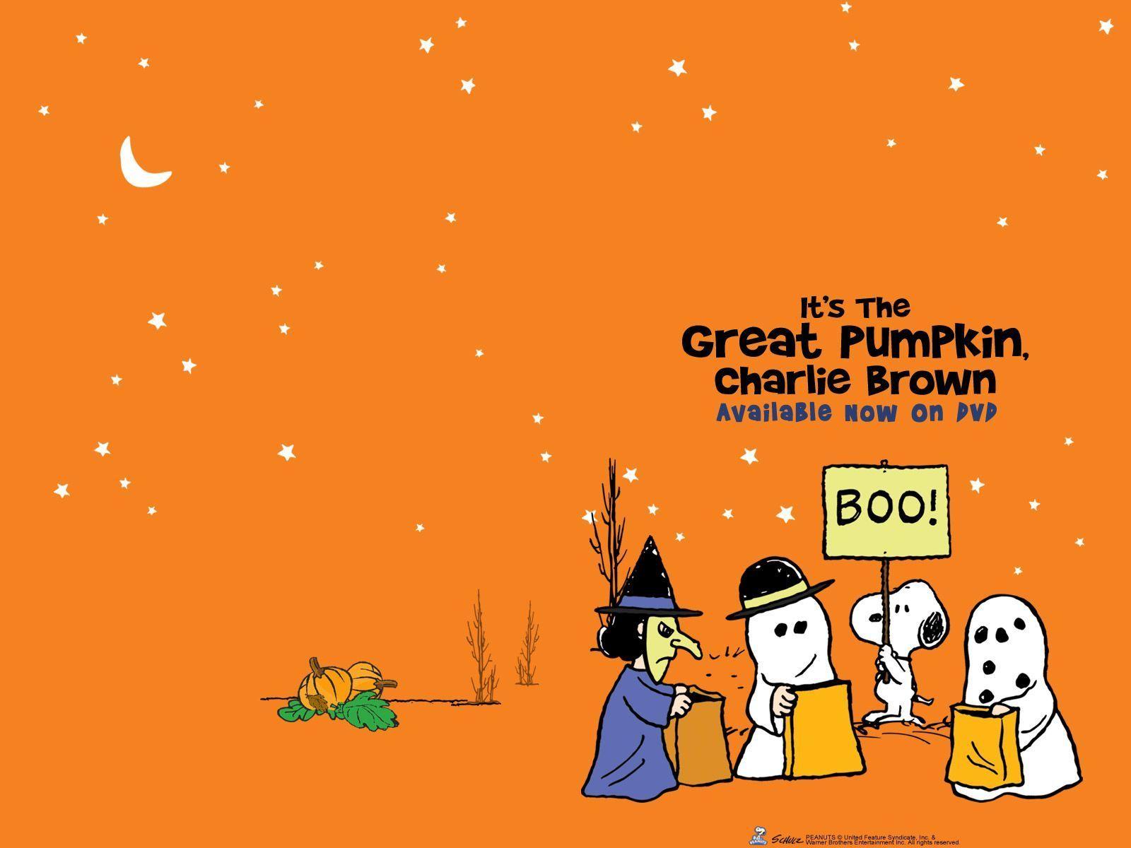1600x1200 Charlie Brown Wallpaper