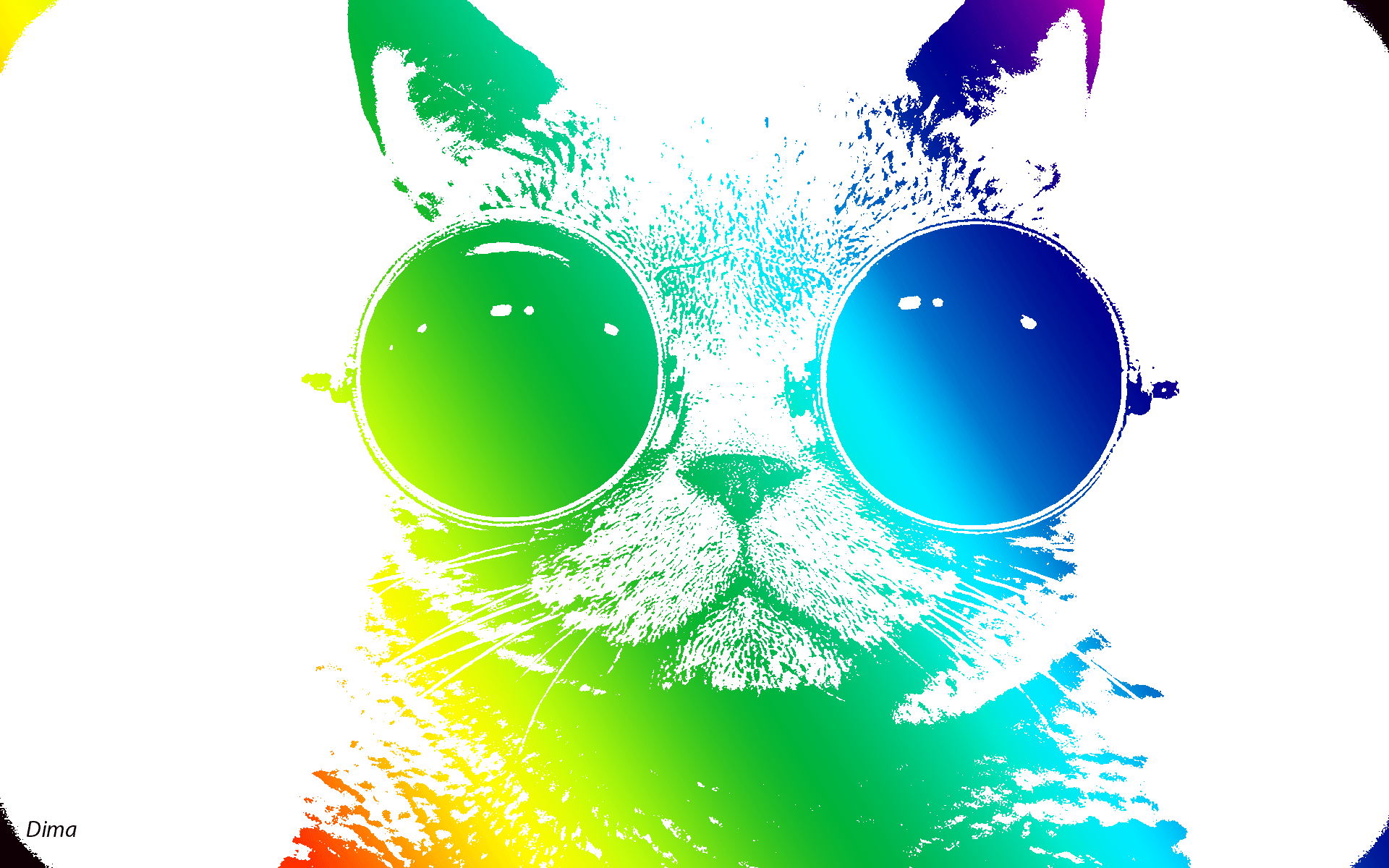 1920x1200 Cool Cat Wallpaper