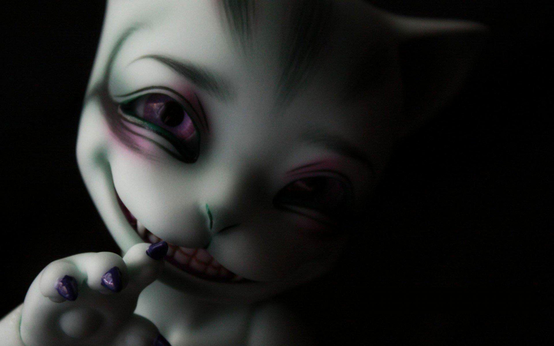 1920x1200 Cool Cat Wallpaper wallpaper Collections