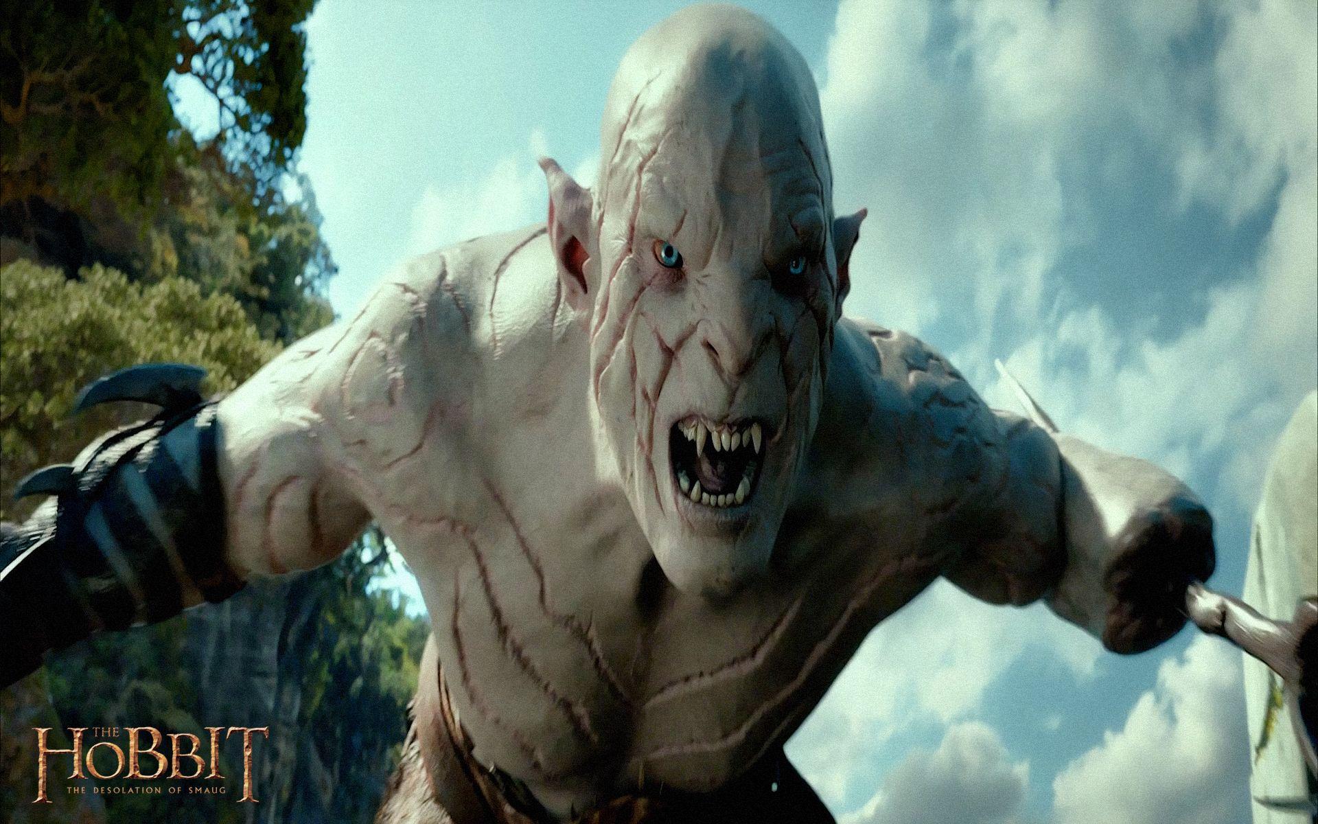 1920x1200 The Hobbit Desolation of Smaug wallpaper 1920x1200 (16)