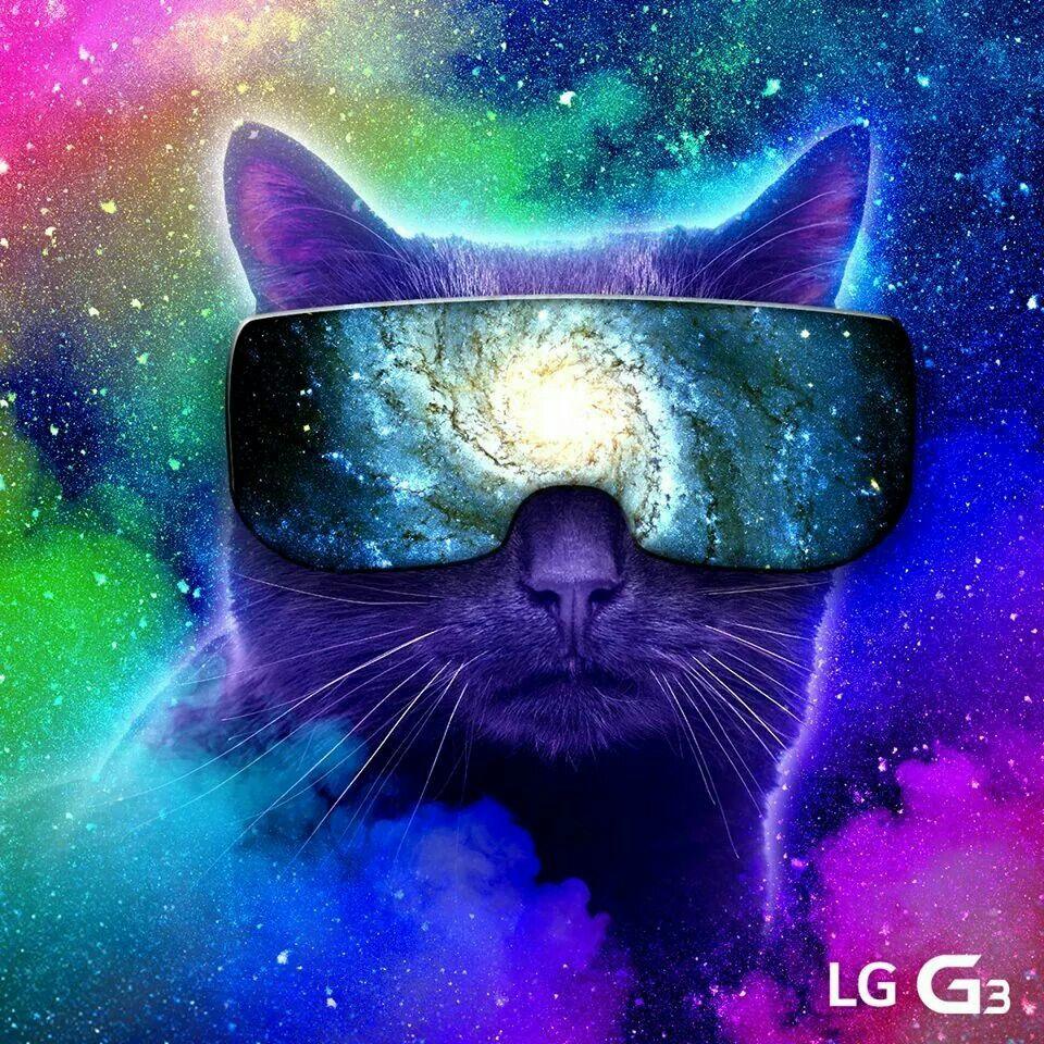 960x960 Space cat colorful background. Background. Wallpaper