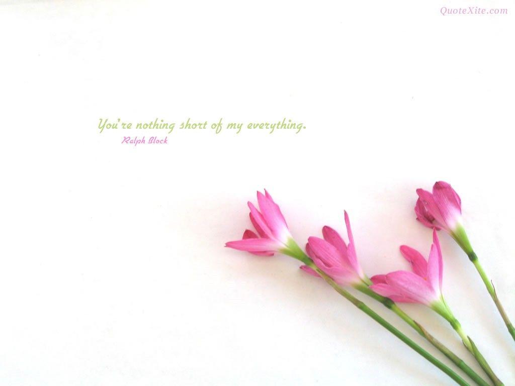 Short Quotes Desktop Wallpapers Top Free Short Quotes Desktop