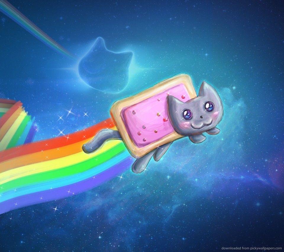 960x854 Cool Cat Wallpaper wallpaper Collections