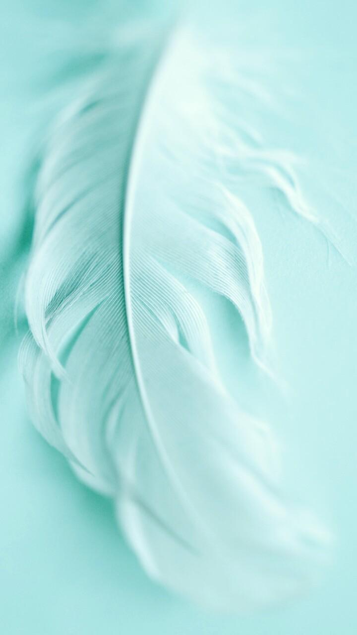 720x1280 art, background, beautiful, beauty, colorful, design, fashion, fashionable, feather, feathers, girly, inspiration, kawaii, luxury, mint, pastel, pattern, patterns, pretty, soft, softy, still life, style, texture, wallpaper, wallpaper, we heart it, woman
