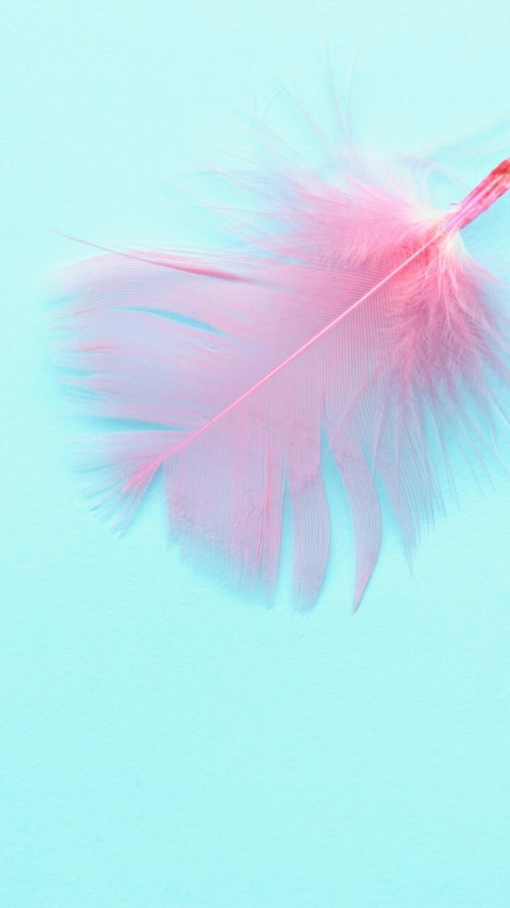 720x1280 image about feather. See more about wallpaper, pattern and feather