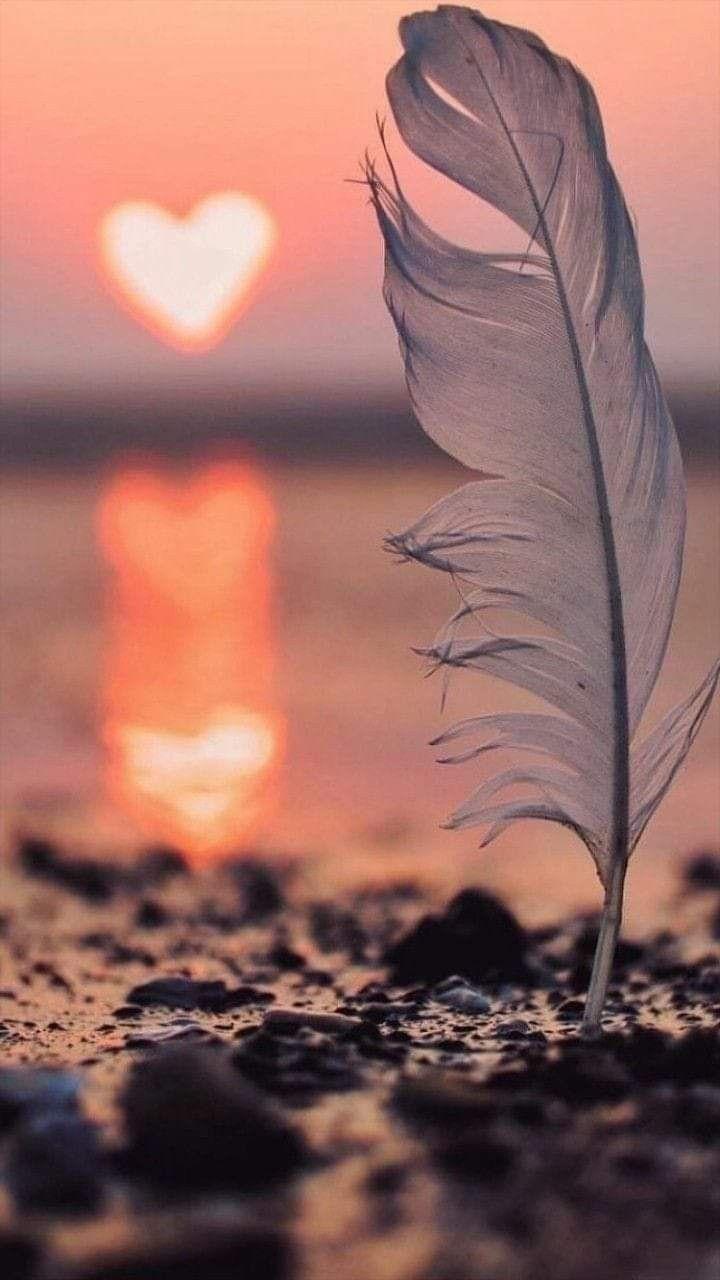 720x1280 Feather Girl Wallpaper