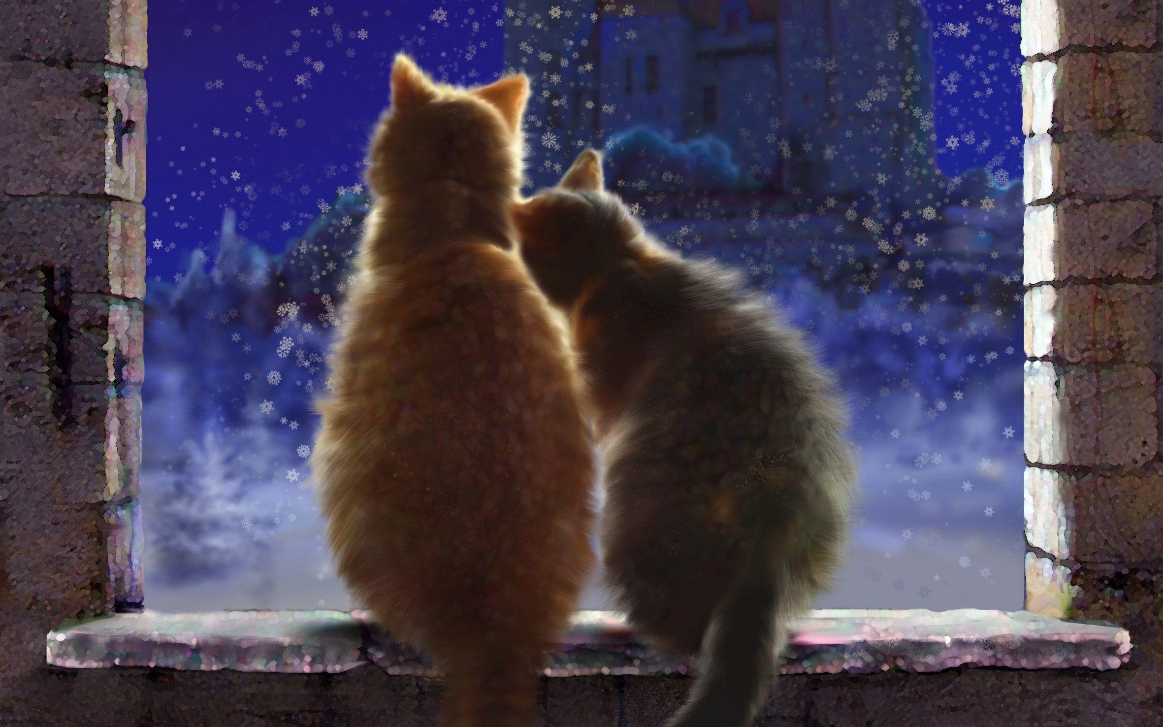 2362x1476 Art Cats love window sill. Cats, Winter cat, Cat love