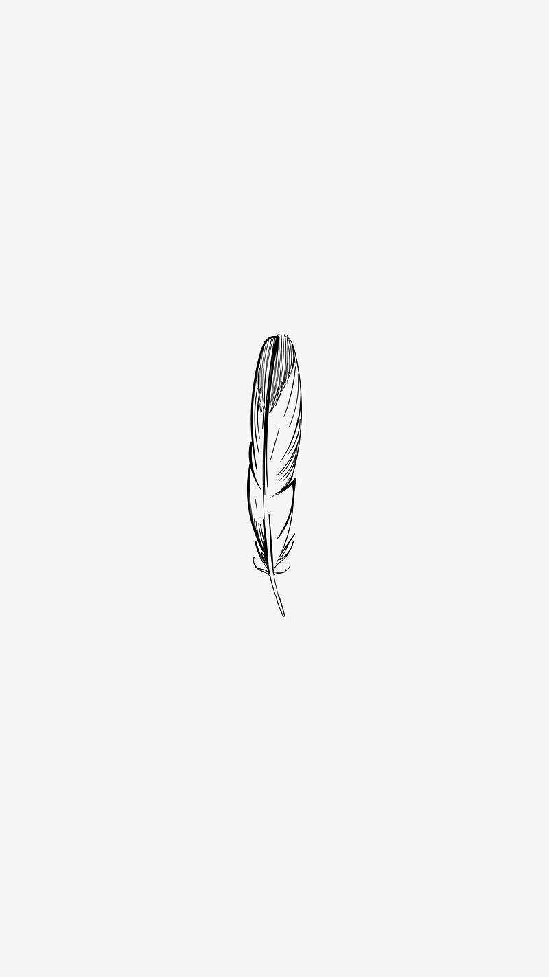 800x1422 Feather Image Wallpaper