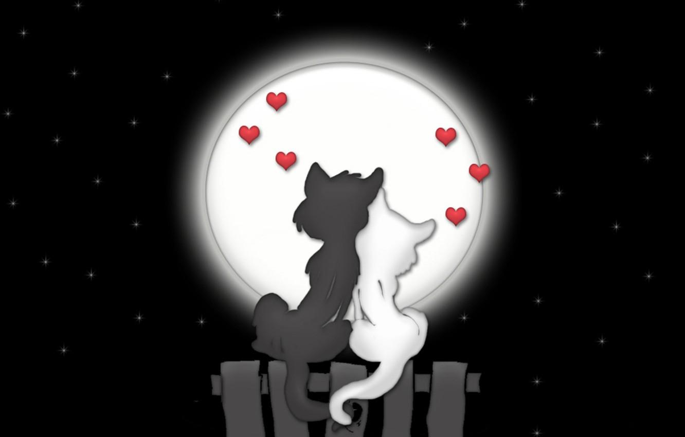 1332x850 Free download Wallpaper love cats night the moon image for desktop section [1332x850] for your Desktop, Mobile & Tablet. Explore Cats On The Moon Wallpaper. Cats On The Moon